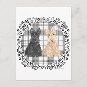 Tartan Scotties Briefkaart