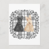 Tartan Scotties Briefkaart (Voorkant)