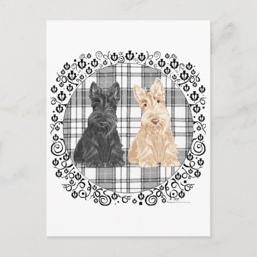 Tartan Scotties Briefkaart (Voorkant)