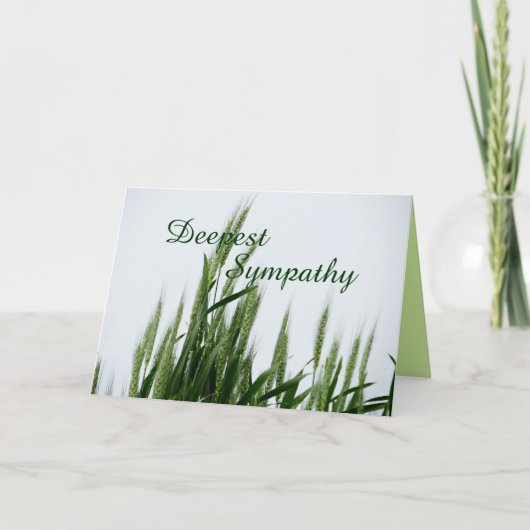 Tarwe 2862 tfv- past voor om het even welke kaart (Voorkant)