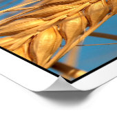 Tarwe 2 poster (Hoek)