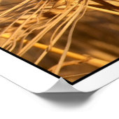 Tarwe 3 poster (Hoek)