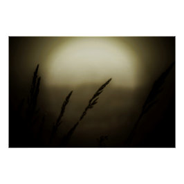 Tarwe bij zonsondergang perfect poster