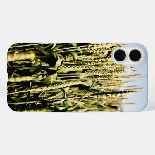 tarwe Case-Mate iPhone case (Achterkant (horizontaal))