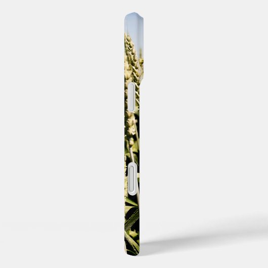 tarwe Case-Mate iPhone case (Achterkant / Rechts)