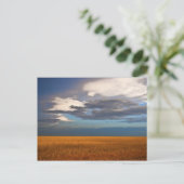 Tarwe fiele oliefilter briefkaart (Staand voorkant)