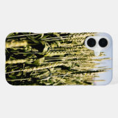 tarwe iPhone hoesje (Achterkant horizontaal)