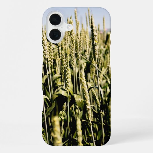 tarwe iPhone hoesje (Achterkant)