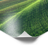 Tarwe komt op in de heuvels van de Palouse Foto Afdruk (Hoek)