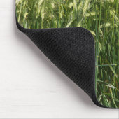 Tarwe - mooi! muismat (Hoek)