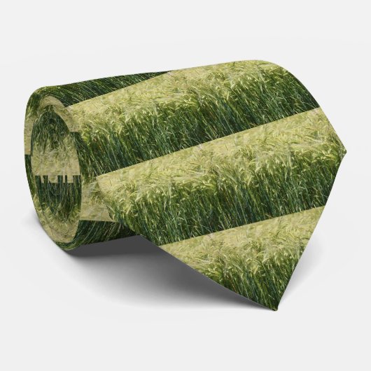 Tarwe - mooi! stropdas (Opgerold)