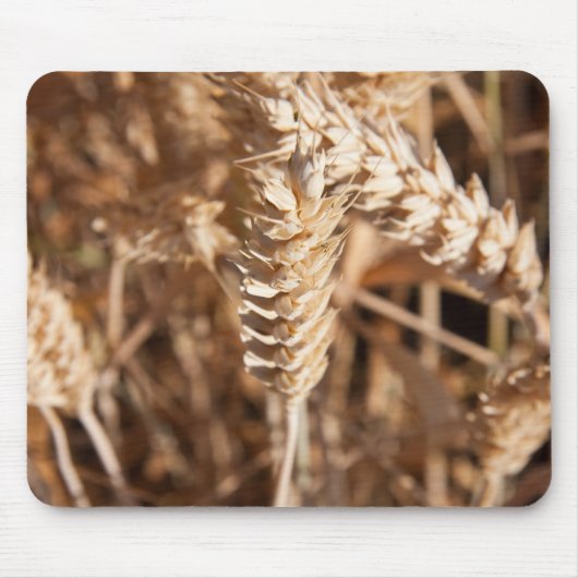 tarwe muismat (Voorkant)