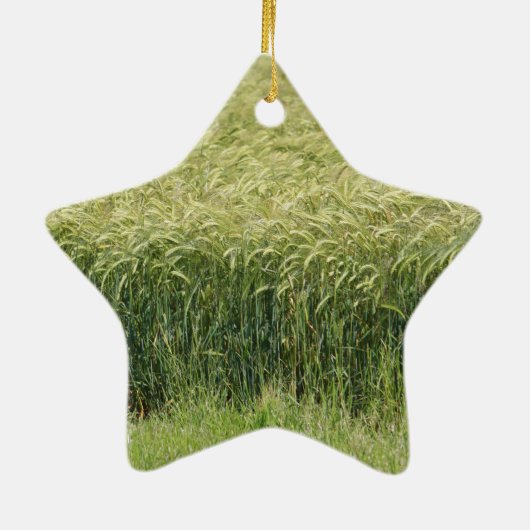 Tarwe - Tasty! Keramisch Ornament (Achterkant)