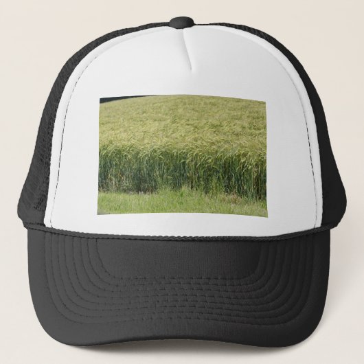 Tarwe - Tasty! Trucker Pet (Voorkant)