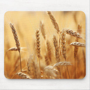 Tarwe Zonsondergang Tranquil Vreedzame Natuur Muismat