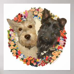 Tarwe & Zwarte Scotties Poster