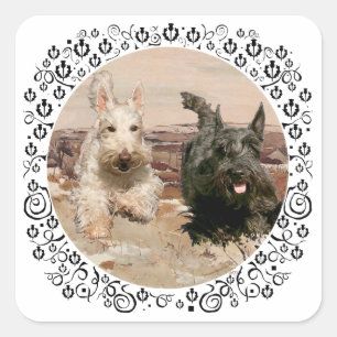 Tarwe & Zwarte Scotties Rennen Vierkante Sticker