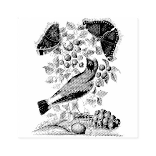 Tarwebraam Camberwell Vogels Scrapbooking Rubberstempel (Afrduk)