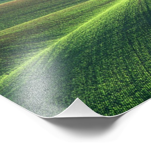 Tarwebronnen in de heuvels van de Palouse Foto Afdruk (Hoek)