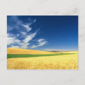 Tarweoogst op de paleis in het oosten briefkaart (Voorkant)