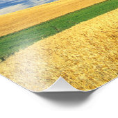 Tarweoogst op de paleis in het oosten foto afdruk (Hoek)