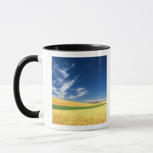 Tarweoogst op de Palouse in het oosten Mok (Links)