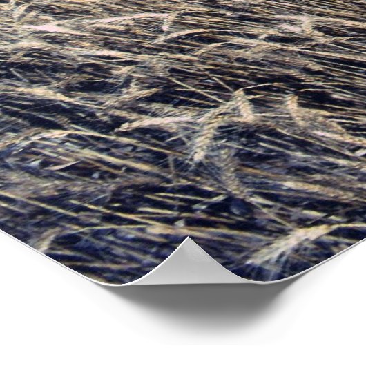 Tarweoogst Poster (Hoek)