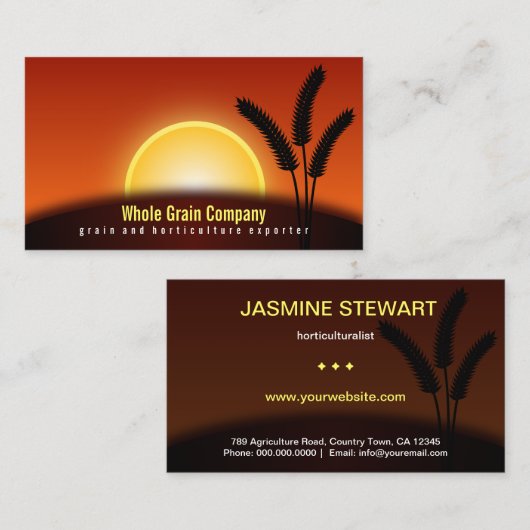 Tarweoren Zonsondergang Tuinbouw Visitekaartjes (Voorkant / Achterkant)