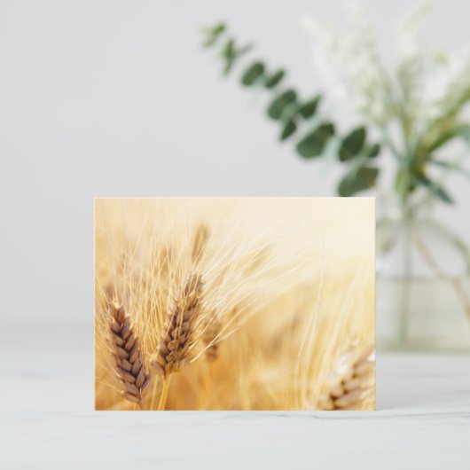 Tarweveld Briefkaart (Staand voorkant)