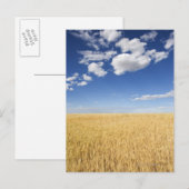 Tarweveld Briefkaart (Voorkant / Achterkant)
