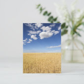 Tarweveld Briefkaart (Staand voorkant)