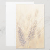 Tarweveld Briefpapier (Voorkant / Achterkant)