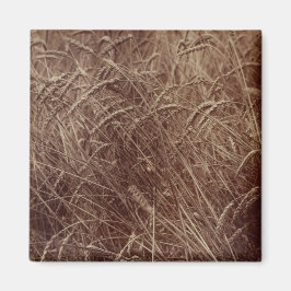 Tarweveld (door Eugène Atget) Magneet