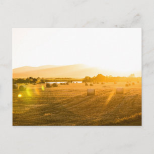 Tarweveld Dornoch, North Scotland, UK Briefkaart