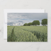 Tarweveld Eikenboom Land Huwelijksuitnodigingen Kaart (Achterkant)