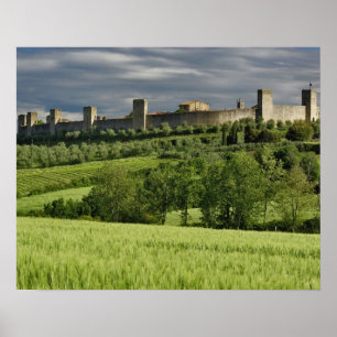 Tarweveld en verafgelegen Monteriggioni, in het Poster