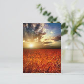 Tarweveld en zonsondergang briefkaart (Staand voorkant)