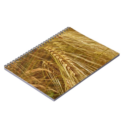 Tarweveld. Het is oogsttijd! Notitieboek (Linkerzijde)