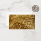 Tarweveld. Het is oogsttijd! Notitiekaartje (Voorkant / Achterkant in situ)