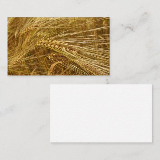 Tarweveld. Het is oogsttijd! Notitiekaartje (Voorkant / Achterkant)