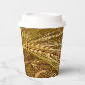 Tarweveld. Het is oogsttijd! Papieren Bekers (Links)