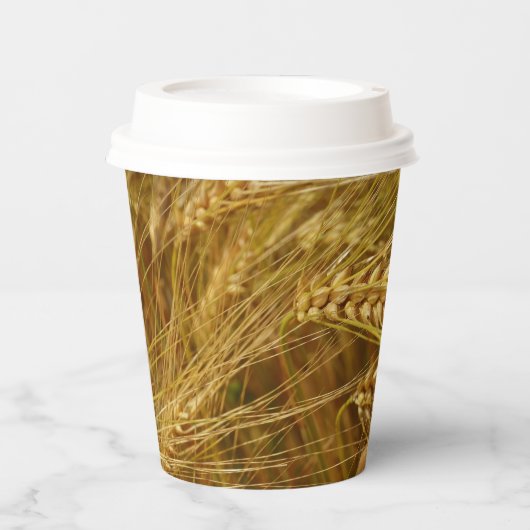 Tarweveld. Het is oogsttijd! Papieren Bekers (Voorkant)