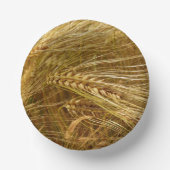 Tarweveld. Het is oogsttijd! Papieren Kommen (Voorkant)