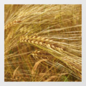 Tarweveld. Het is oogsttijd! Raamsticker (Vel)