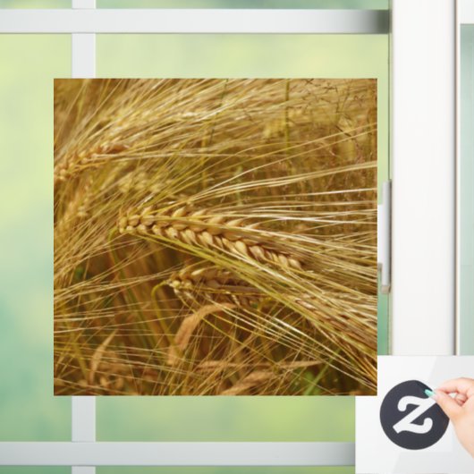 Tarweveld. Het is oogsttijd! Raamsticker (Huis)