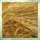 Tarweveld. Het is oogsttijd! Raamsticker (Vel 3)