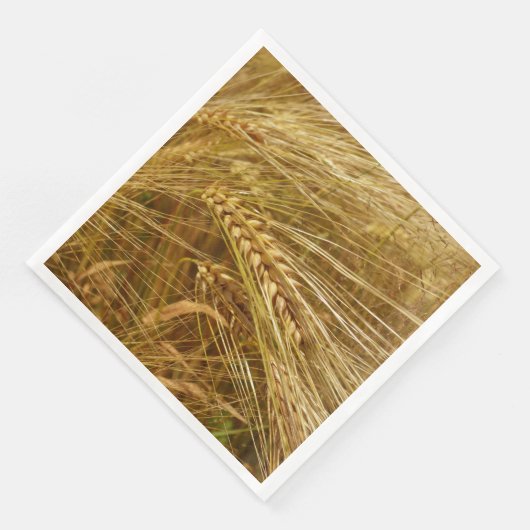 Tarweveld. Het is oogsttijd! Servet (Hoek)