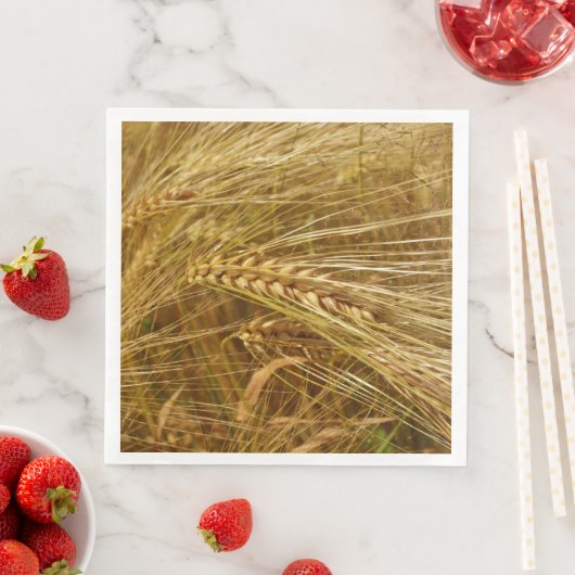 Tarweveld. Het is oogsttijd! Servet (Insitu)
