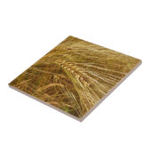 Tarweveld. Het is oogsttijd! Tegeltje (Zijkant)