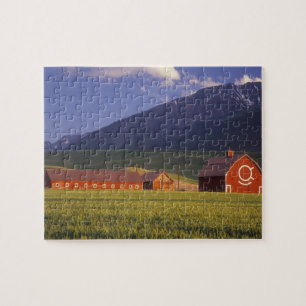 Tarweveld in de Wallowa-vallei, net buiten Legpuzzel
